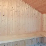 Tingodden Vi